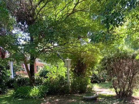 Manuel de Pinazo 1400