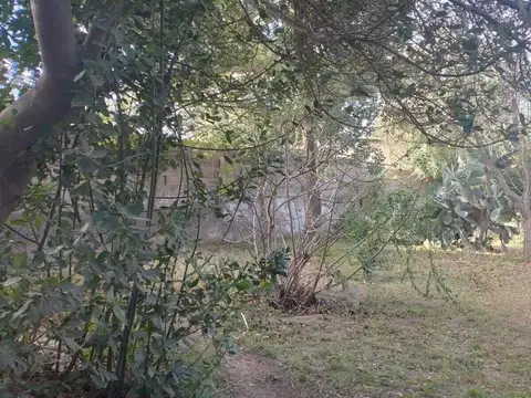 Avenida de los Pescadores e/ Avenida Siquiman y Ruta 38