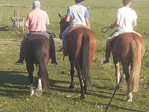 Alquiler temporario casa de campo. Vagues.