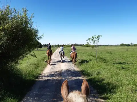 Camino Vagues Azcuénaga