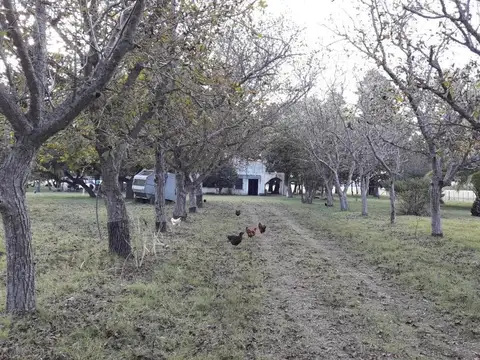 Campo en Venta Agricola
