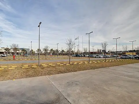 Local en Alquiler A Estrenar