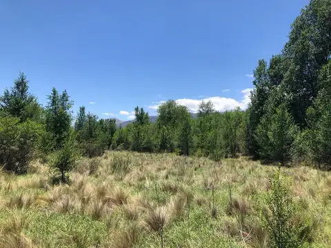 Terreno en Venta en San Esteban, USD 31.000