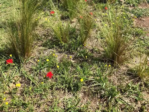 Terreno en Venta de 19686,0 m2