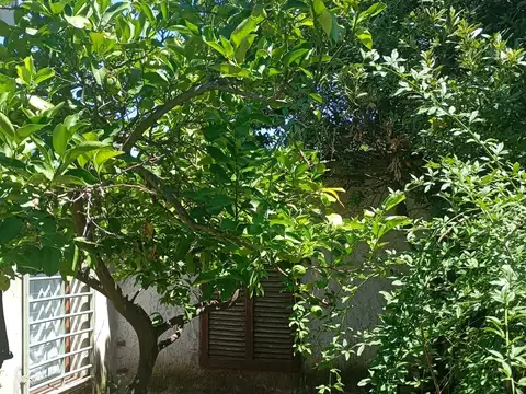 En venta Local Comercial + Departamento de 3 ambientes en Merlo