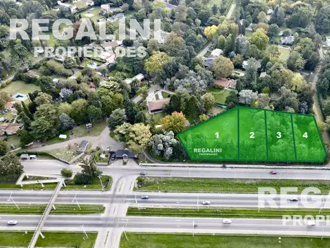 4 LOTES 4010 m2 totales - VENTA - BARRIO CERRADO SANTA AMELIA
