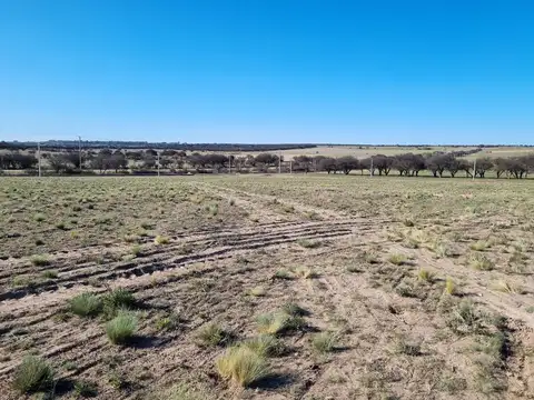 Ruta Pronvincial 9 - Lote 2