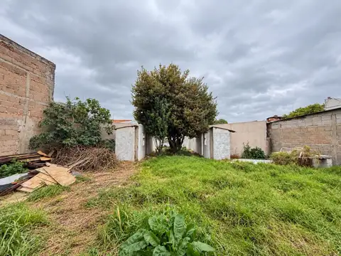 Camino Carrasco 4100