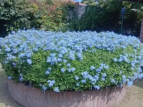 Casa en Venta en Jose Marmol, USD 325.000