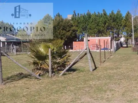 Terreno en Venta 42  mts Fondo
