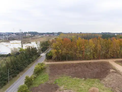 Venta LOTE 1500mts. (lotes 125/126) Barrio Parque LOS ROBLES (Anticipo y cuotas fijas)