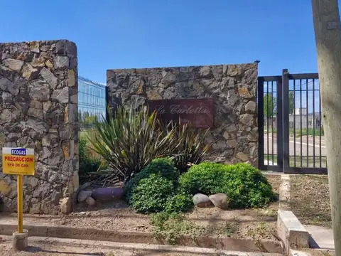 Terrada 1400, Piso 0