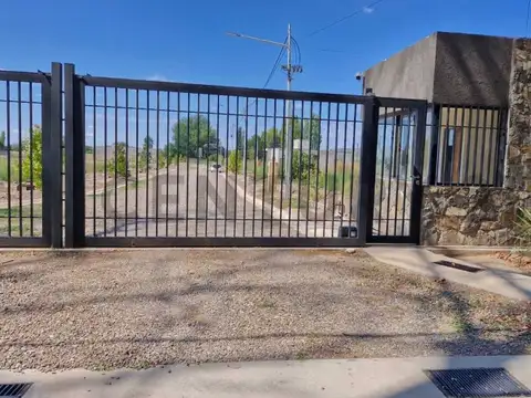 Terrada 1400, Piso 0