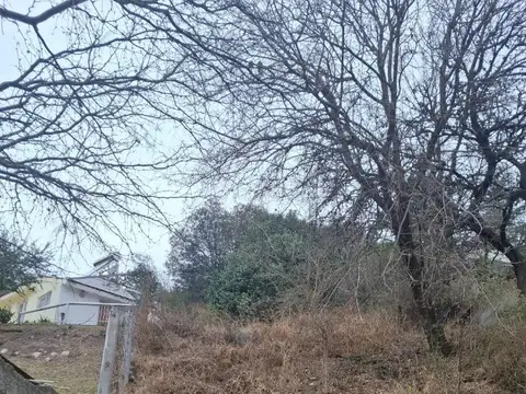 Terreno en Venta 45  mts Fondo