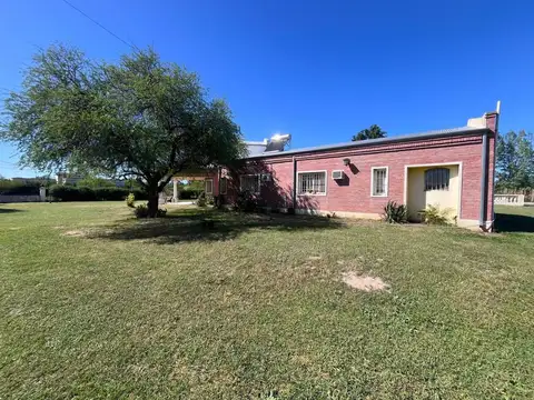 Pájaros Blancos 100