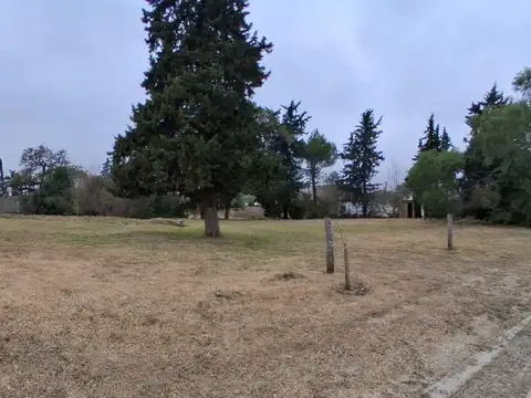 Terreno 900 m2 en zona de quintas, C Avellaneda