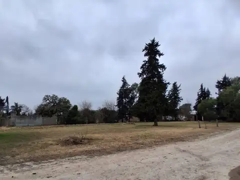 Terreno en Venta en Colonia Avellaneda, USD 25.000