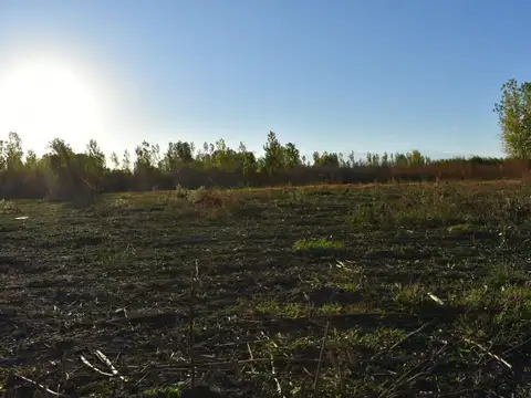 Terreno en Venta de 2000,0 m2