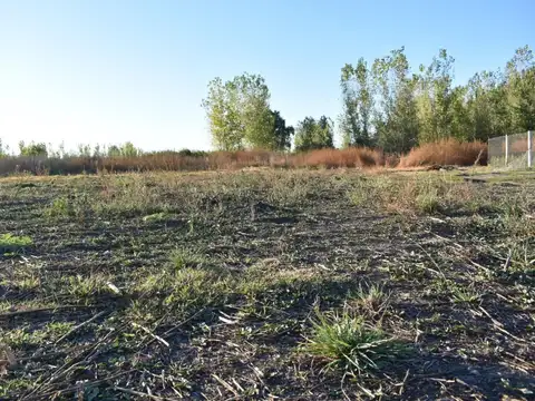 Venta Terreno Capiz San Carlos Mendoza