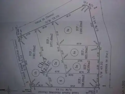Pasaje peatonal y calle 33