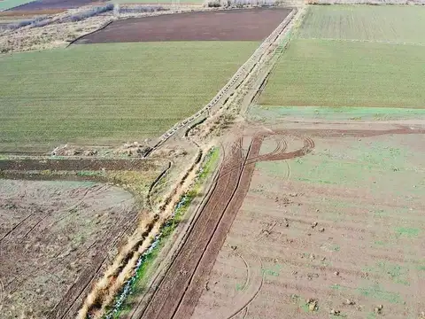 Exclusiva Finca Premium en Venta en Los Chacayes