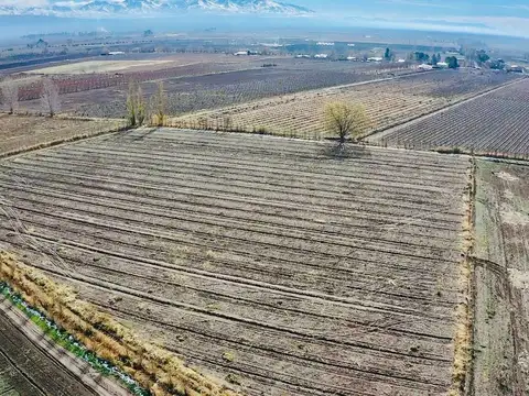 Exclusiva Finca Premium en Venta en Los Chacayes