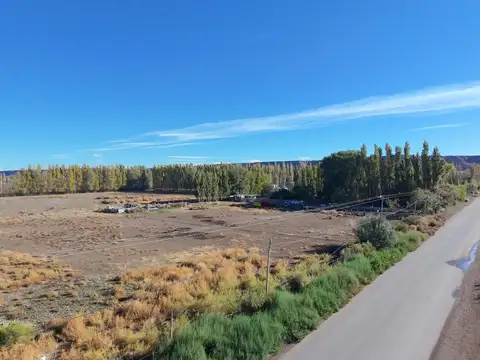 Terreno en Alquiler en Añelo, USD 2.000