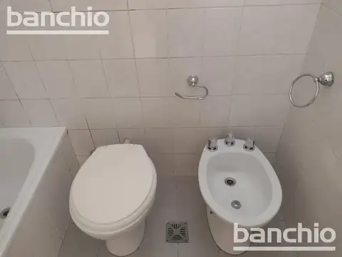 Departamento en Alquiler al Sur