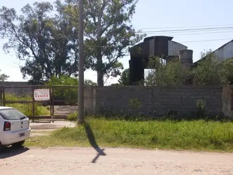 Calle 56 350