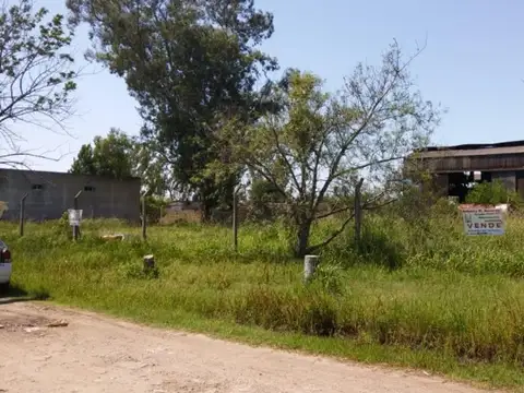 Calle 56 350