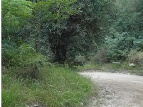 Av Los Aromos 1000