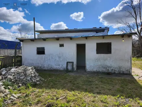 ALMAFUERTE  al 2000