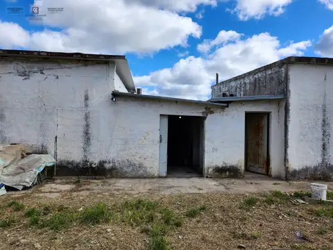 ALMAFUERTE  al 2000