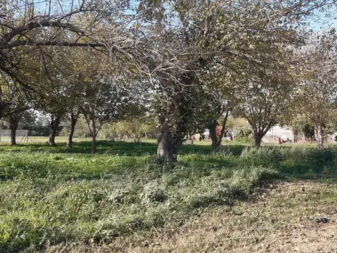Terreno en Venta 9  mts Frente