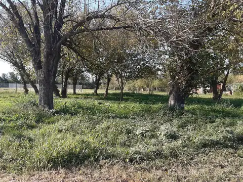 Terreno en Venta en Correa, USD 12.000