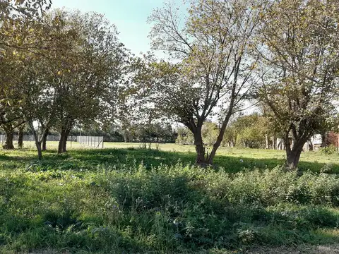 Terreno en Venta 45  mts Fondo