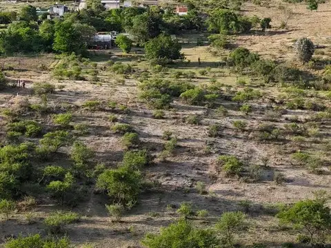 Venta 8 Hectáreas Con Una Casa Y 2 Galpones En Villa García, Tanti