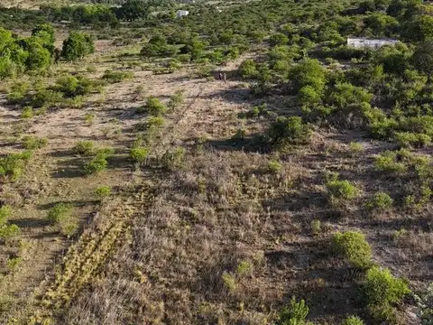 Villa Garcia, Tanti