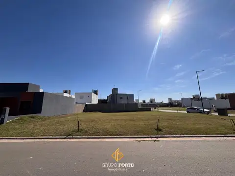 Lote En San Ignacio Village 100