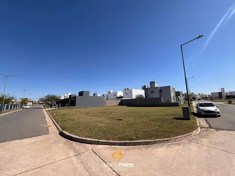 Lote En San Ignacio Village 100