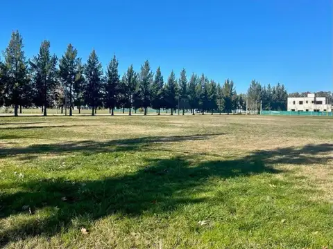 Campos de Roca, Partido de Brandsen, Buenos Aires, Argentina