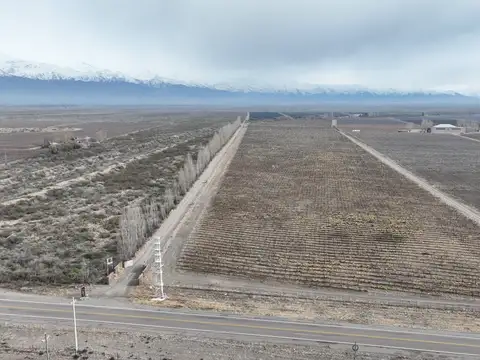 Campo en Venta de 16  ha
