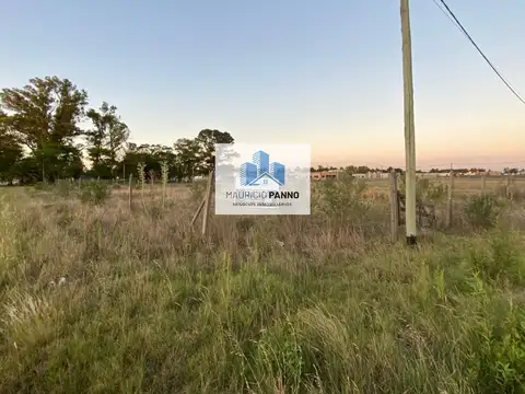 Mateo Jelicich, Capitan 100