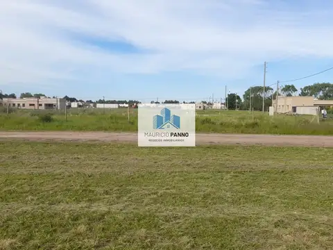 Mateo Jelicich, Capitan 100