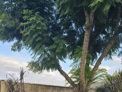 Terreno en venta - 170Mts2 - Villa Elisa