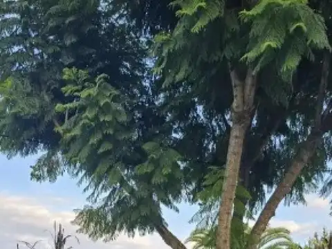 Terreno en venta - 170Mts2 - Villa Elisa