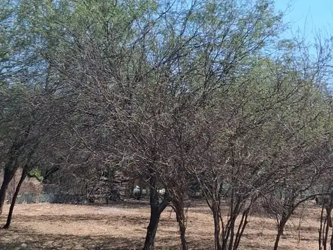 LOTE EN VENTA- ZONA BARRIO LOS FLORES