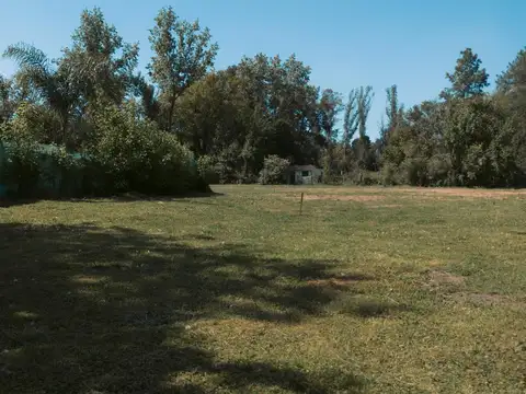 Lote en venta Jose Isaac y Peter Tchaicovsky