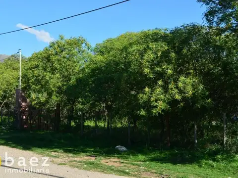 LOTE DE 1250M2 EN CARPINTERÍA