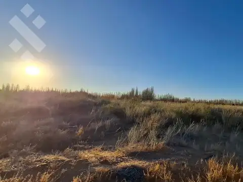Terreno en Venta de 402,0 m2